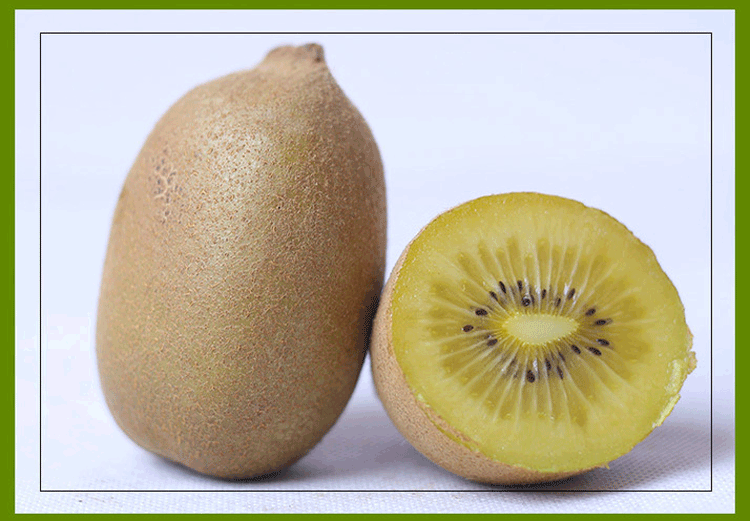 新西兰奇异果进口新鲜水果黄心猕猴桃大果10个装包邮奇异果