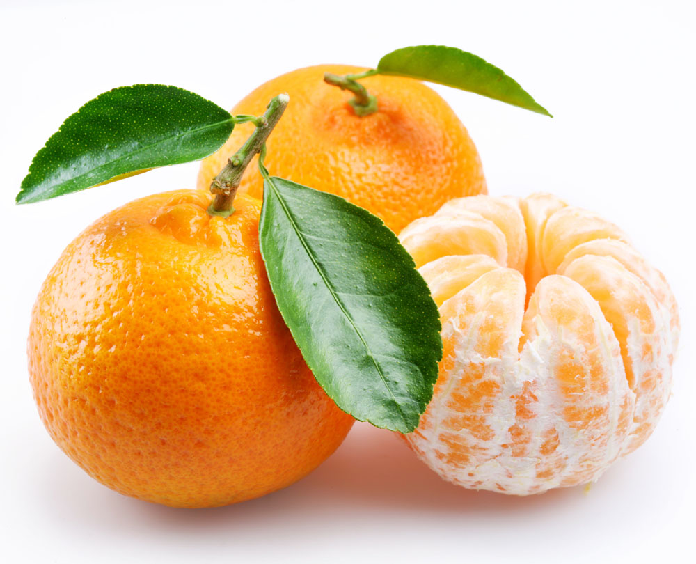 柑橘高清